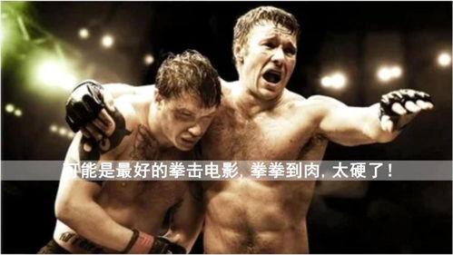 拳击电影,热血拳击电影的传奇故事