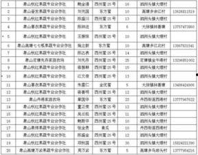 娱乐性质的瓜怎么吃,如何轻松享用娱乐八卦大餐