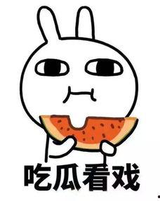 吃瓜娱乐听我说,揭秘娱乐圈幕后故事