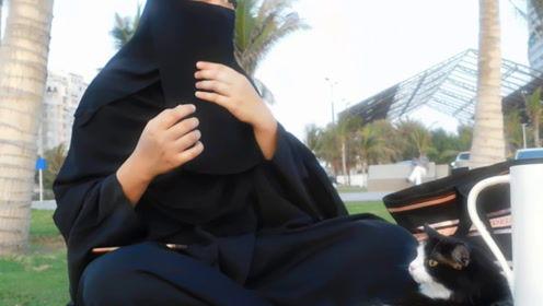 娱乐吃瓜君打架