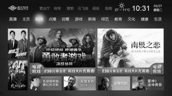 浙江时代电影院线,光影交织，引领观影新潮流